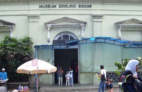zoology museum
