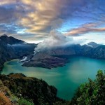 Enjoy The Unique Of Rain Forest Ecosystem At Rinjani Mountain