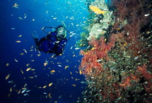 Bunaken Underwater